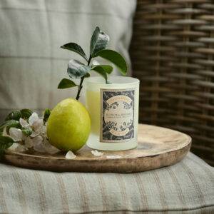 Clare a Beau's Blossom & Bergamot Candle